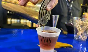 Exportadores de pisco apuntan a nichos de alta gama y diversificación de mercados