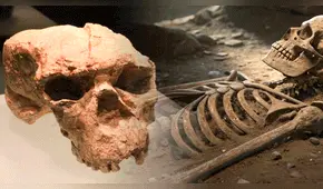 China desafía la historia de la evolución humana con el hallazgo de un cráneo de un millón de años de antigüedad