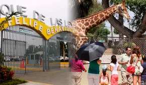 Parque de las Leyendas: estas personas podrán ingresar gratis al zoológico de Lima durante octubre 2025