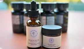 Un extracto de cannabis aliviaría dolores lumbares crónicos sin crear dependencia, según ensayo clínico