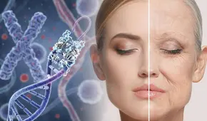 Científicos descubren proteína que podría ralentizar el envejecimiento y las enfermedades crónicas: estudio se realizó durante 5 años