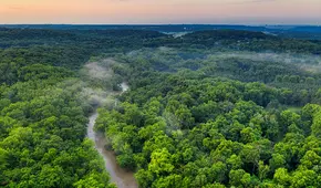 Contra todo pronóstico: la Amazonía ha comenzado a hacer exactamente todo lo contrario de lo que predijeron los climatólogos