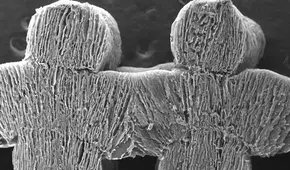 Adiós al agua salada: científicos de Hong Kong afirman crear un material que convierte el agua del mar en potable y sin energía