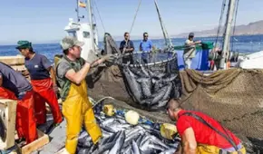 Gobierno aprueba obligatoriedad de notificaciones electrónicas en SANIPES