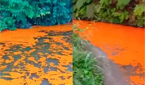 Emergencia ambiental en Ucayali: derrame de cisterna cargada de aceite de palma contamina río Huacamayo