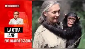 La otra Jane, por Ramiro Escobar