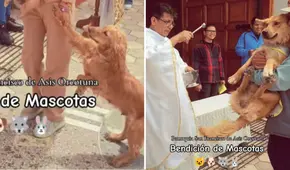 Perrito se resiste a ser rociado con agua bendita en ceremonia masiva de mascotas y redes estallan: "No quiero, mamá"