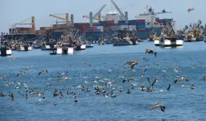 Gobierno invertirá S/752 millones en modernización del puerto de Ilo