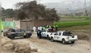 Asesinan a 3 hombres tras ser llevados a descampado de Chuquitanta en San Martín de Porres: vecinos oyeron disparos