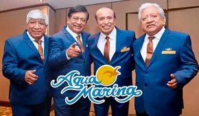 ¿Quiénes son los Hermanos Quiroga y qué rol cumplen dentro de Agua Marina?