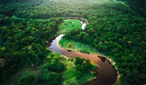 El país con más biodiversidad del mundo está en América Latina: descubre 700 especies nuevas al año El país con más biodiversidad del mundo está en América Latina: descubre 700 especies nuevas al año
