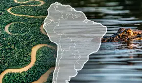 Conocido como el río más largo y el más caudaloso del mundo, recorre hasta tres países de Sudamérica Conocido como el río más largo y el más caudaloso del mundo, recorre hasta tres países de Sudamérica