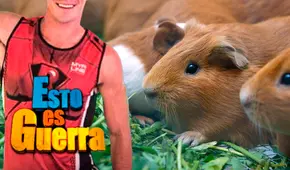 Exchico reality abandonó la TV para vender cuyes y asegura que ganará más dinero que en ‘Esto es Guerra’