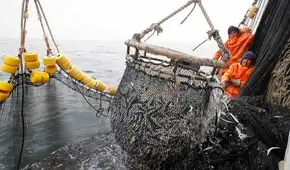 Gobierno perdona a la industria anchovetera y las libera del control de cuotas por "condiciones anómalas" del mar