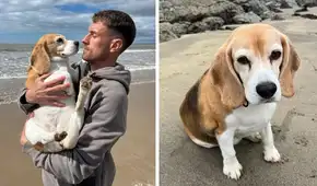 Aaron Ramsey, estrella de Pumas de México, vive calvario tras pérdida de su perrita: ofrece recompensa de 20.000 dólares