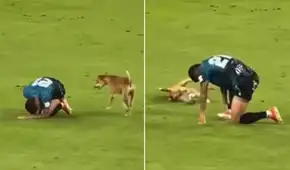 Perrito imita caída de jugador en pleno partido de fútbol y usuarios bromean: "¿Neymar, eres tú?"
