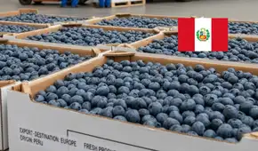El 'oro azul' peruano llegará por primera vez a estos países de Asia: es el producto estrella de las exportaciones