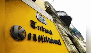 Un trato diferente en las sentencias del Tribunal Constitucional, por Marianella Ledesma
