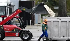 Alemania sacrifica más de medio millón de aves para intentar frenar la propagación de gripe aviar