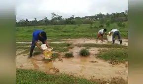 Yurúa, la comunidad indígena que defiende el bosque de las garras del narcotráfico