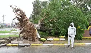 Huracán Melissa deja varados a 14 peruanos en Jamaica: cancillería brinda asistencia tras cierre de aeropuerto