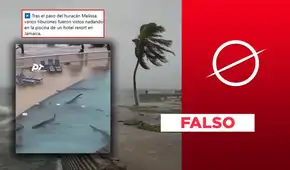 Tiburones no nadaron en piscina en Jamaica durante el paso del huracán Melissa: video fue hecho con IA