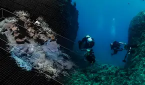 Investigadora latina descubre estructuras sumergidas en Egipto que revelarían pistas sobre dónde está la tumba de Cleopatra