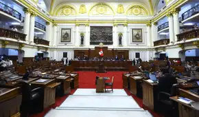 Autoritarismo parlamentario, por Diego Pomareda