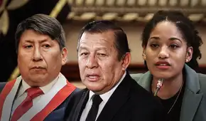 Elecciones 2026: Congresistas de Perú Libre, Fuerza Popular, APP buscan reelección para nuevo Congreso bicameral