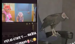 Peruano se sorprende al hallar un gallinazo dentro del cine y redes estallan: "¿Pagó entrada?"