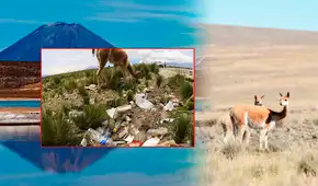 Autoridades alertan de gran contaminación en reserva protegida en Arequipa: "Hay llantas, bolsas y pañales"