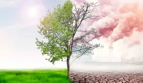 La ONU advierte que el planeta va camino a un devastador calentamiento de 2,5° mientras aumentan los gases de efecto invernadero