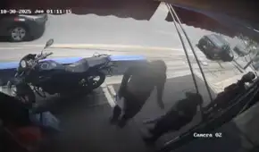 Cinco brigadistas del Minsa fueron asaltados por delincuentes frente a dos colegios en SJL: se llevaron registros de pacientes Cinco brigadistas del Minsa fueron asaltados por delincuentes frente a dos colegios en SJL: se llevaron registros de pacientes