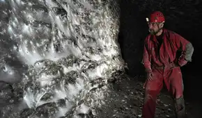 Científicos descubren la telaraña más grande del mundo donde prosperan más de 111.000 arañas en una cueva completamente oscura