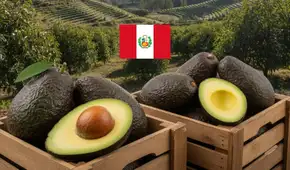 ¿Cuál es la fruta peruana más preferida en el mundo? Ventas superan los US$1.400 millones en 2025