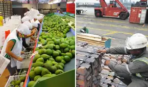 Exportaciones peruanas sumaron US$8.269 millones en septiembre: ¿qué sectores lideraron el crecimiento?