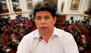 Pedro Castillo denuncia a los 100 congresistas que votaron a favor de su vacancia en 2022
