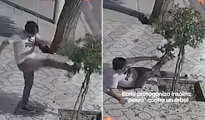 Captan insólita 'pelea' de hombre con árbol en la vía pública y escena es furor en redes: "Encima perdió" Captan insólita 'pelea' de hombre con árbol en la vía pública y escena es furor en redes: "Encima perdió"