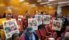 COP30: Perú llega con aumento récord de deforestación y líderes indígenas exigen participación