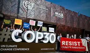La COP30 finaliza con un acuerdo para afrontar el cambio climático, pero eliminó toda referencia a los combustibles fósiles La COP30 finaliza con un acuerdo para afrontar el cambio climático, pero eliminó toda referencia a los combustibles fósiles
