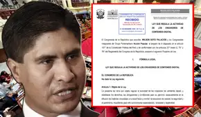 Congreso: proyecto de ley exigirá a influencers tener título profesional si quieren difundir información