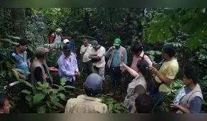 Más de 1 millón de hectáreas de bosque evitaron ser deforestadas gracias a certificación