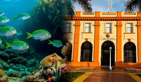 Congreso reaviva el REINFO Pesquero pese al rechazo unánime: qué plantea el proyecto y por qué genera preocupación