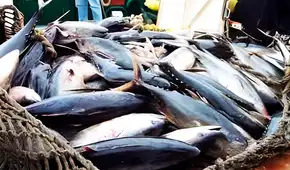 Sada Goray: Exdirector de Pesca niega pagos ilícitos