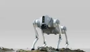 ¿Qué puede hacer el Go2, el perro robot que promete revolucionar la seguridad en el Perú?