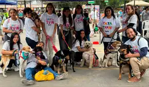 Adoptatón 2025: el festival que busca dar un nuevo comienzo a más de 100 animales rescatados