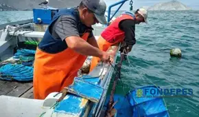 Gobierno aprueba nueva escala de ingresos para trabajadores de FONDEPES: estos son los nuevos montos