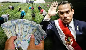Gobierno propone un nuevo regalo para agroexportadoras que costaría S/2.000 millones al año y alentará la concentración de tierras