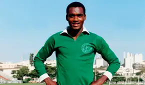 Palmeiras se rinde ante Alberto Gallardo, ídolo de Sporting Cristal, con emotivo mensaje: "El peruano hizo historia en el ‘Verdao’" Palmeiras se rinde ante Alberto Gallardo, ídolo de Sporting Cristal, con emotivo mensaje: "El peruano hizo historia en el ‘Verdao’"