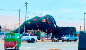 Moquegua: fuertes vientos derriban árbol navideño más alto de la región en Ilo